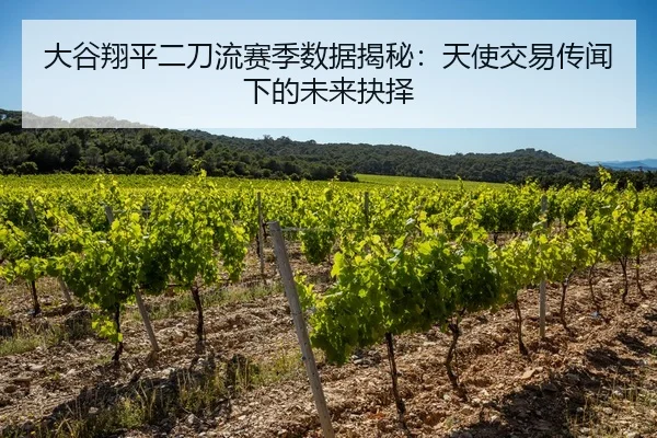大谷翔平二刀流赛季数据揭秘：天使交易传闻下的未来抉择