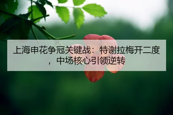 shang-hai-shen-hua-zheng-guan-guan-jian-zhan-te-xie-la-mei-kai-er-du-zhong-chang-he-xin-yin-ling-ni-zhuan-2-163.jpg