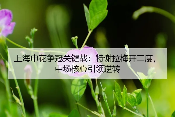shang-hai-shen-hua-zheng-guan-guan-jian-zhan-te-xie-la-mei-kai-er-du-zhong-chang-he-xin-yin-ling-ni-zhuan-3-648.jpg