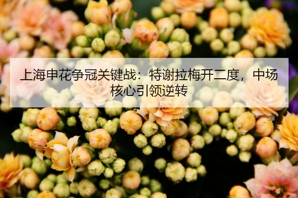 上海申花争冠关键战：特谢拉梅开二度，中场核心引领逆转