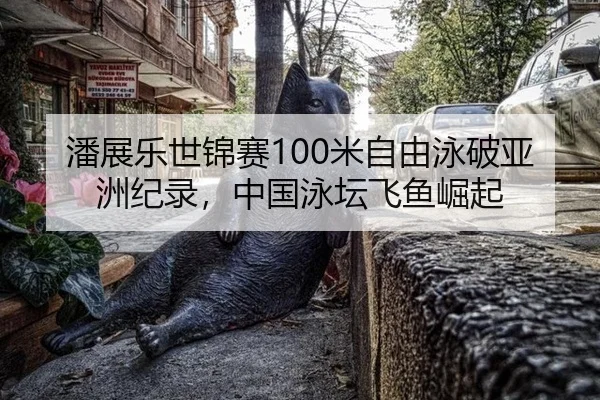 潘展乐世锦赛100米自由泳破亚洲纪录，中国泳坛飞鱼崛起