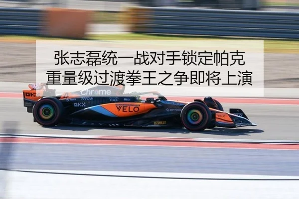 张志磊统一战对手锁定帕克 重量级过渡拳王之争即将上演